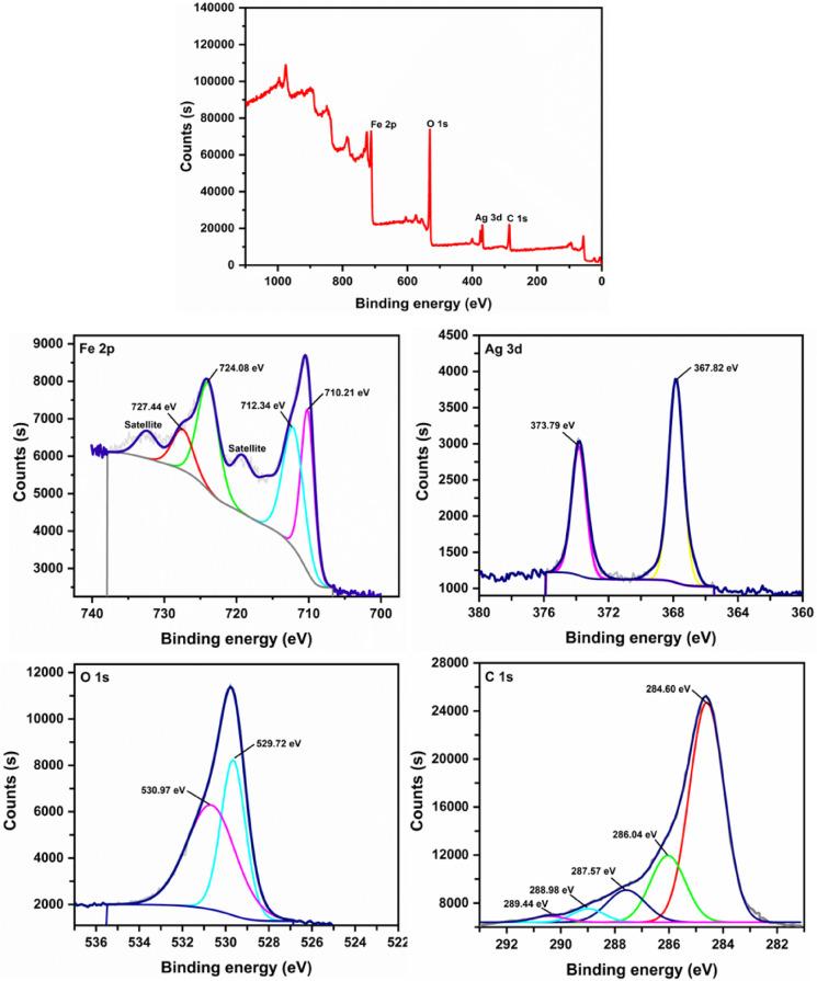 https://cdn.ncbi.nlm.nih.gov/pmc/blobs/857f/12301457/3e0542f947a2/41598_2025_12170_Fig3_HTML.jpg
