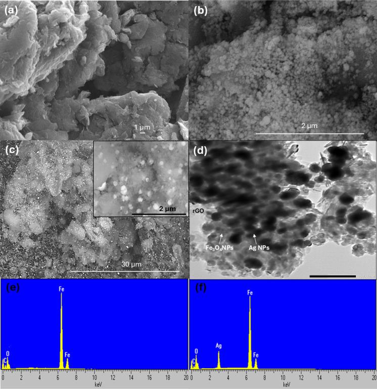 https://cdn.ncbi.nlm.nih.gov/pmc/blobs/857f/12301457/8a2d31f1f3d3/41598_2025_12170_Fig4_HTML.jpg