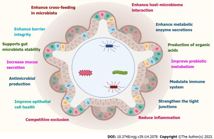 https://cdn.ncbi.nlm.nih.gov/pmc/blobs/8582/10130969/a9e2a04495e7/WJG-29-2078-g005.jpg
