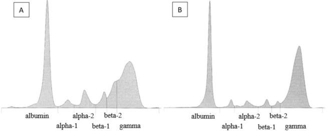 https://cdn.ncbi.nlm.nih.gov/pmc/blobs/8587/11682433/8ca7bcec3494/41598_2024_82735_Fig1_HTML.jpg