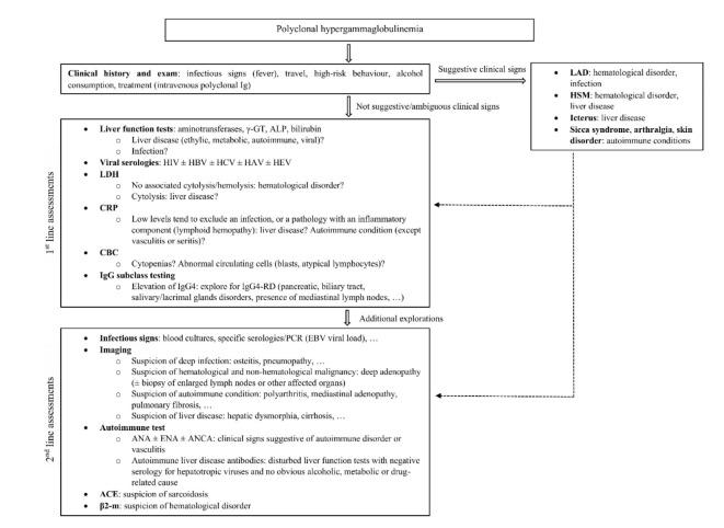 https://cdn.ncbi.nlm.nih.gov/pmc/blobs/8587/11682433/e130f94f46e2/41598_2024_82735_Fig3_HTML.jpg