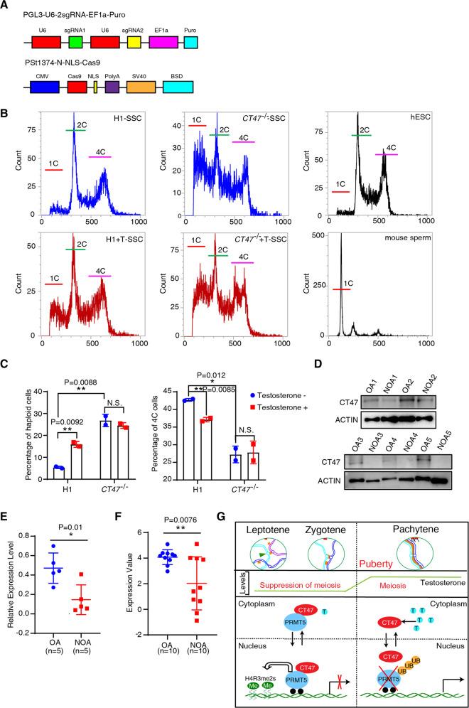 https://cdn.ncbi.nlm.nih.gov/pmc/blobs/8587/9345867/d8fd9f8e317c/41420_2022_1139_Fig7_HTML.jpg