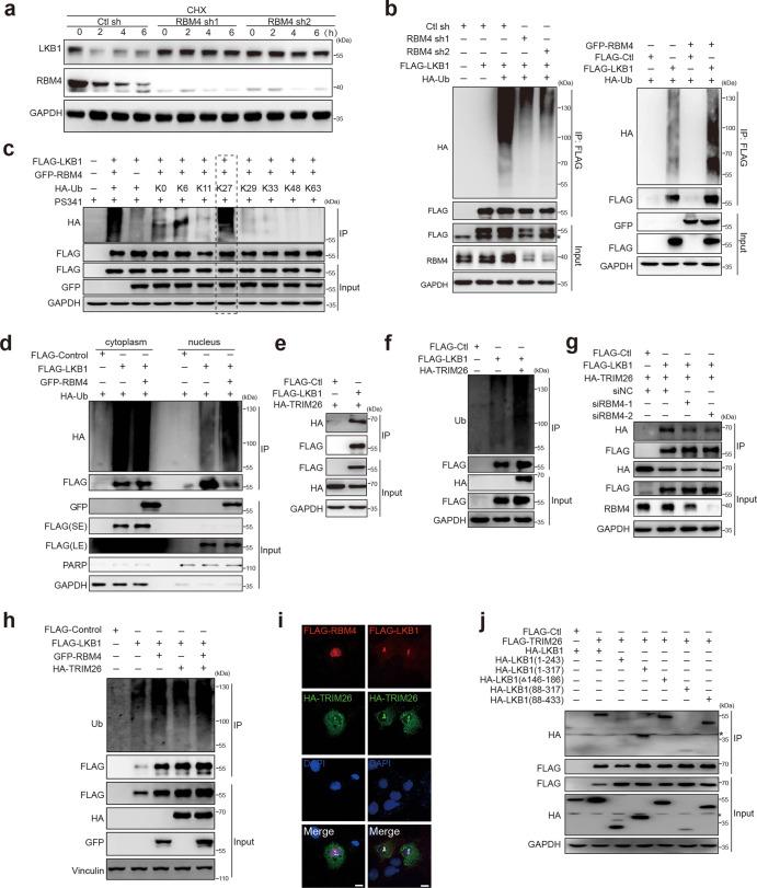 https://cdn.ncbi.nlm.nih.gov/pmc/blobs/8588/10119322/413b60180466/41392_2023_1367_Fig5_HTML.jpg