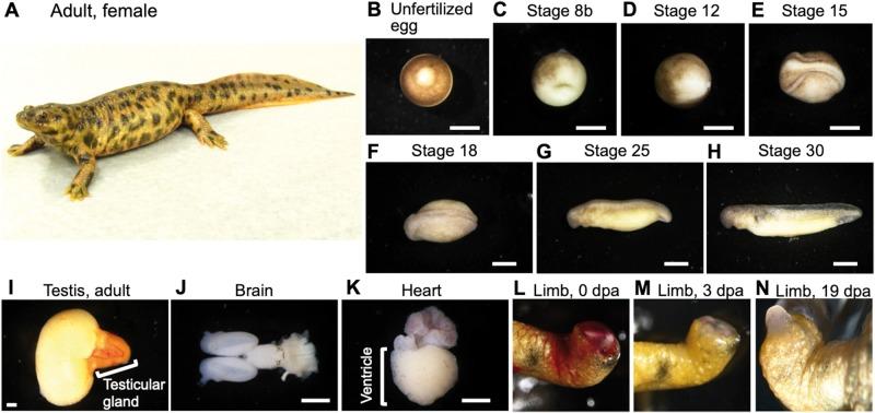 https://cdn.ncbi.nlm.nih.gov/pmc/blobs/8589/6589553/253838376a3d/dsz003f1.jpg
