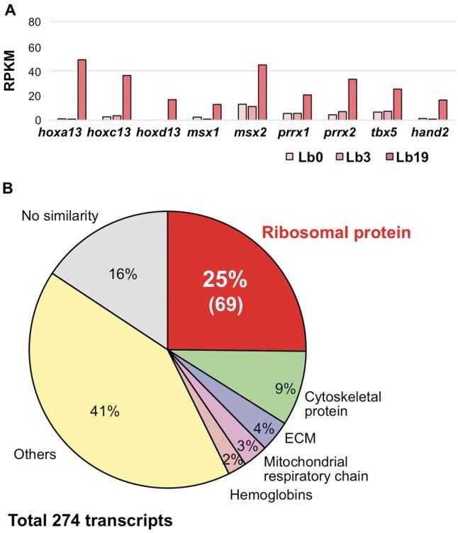 https://cdn.ncbi.nlm.nih.gov/pmc/blobs/8589/6589553/57ddd739c933/dsz003f8.jpg