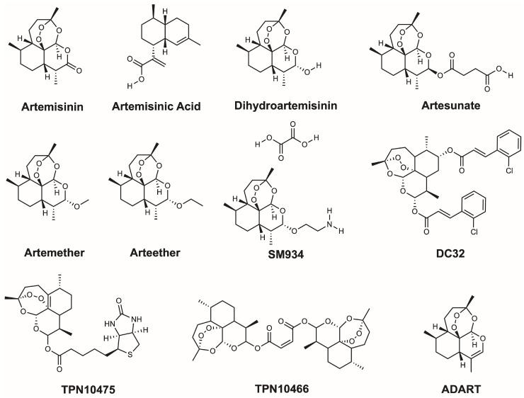 https://cdn.ncbi.nlm.nih.gov/pmc/blobs/858b/12429344/17e086879269/ijms-26-08409-g001.jpg