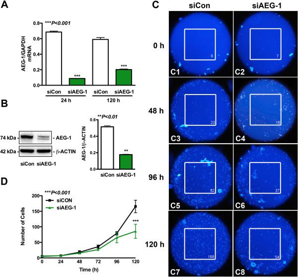 https://cdn.ncbi.nlm.nih.gov/pmc/blobs/858b/3488579/673294c2864b/1742-2094-9-195-2.jpg