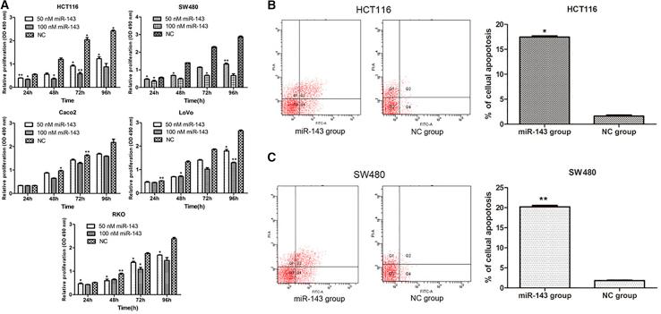 https://cdn.ncbi.nlm.nih.gov/pmc/blobs/858c/7036723/b55b70ebf5b0/gr2.jpg