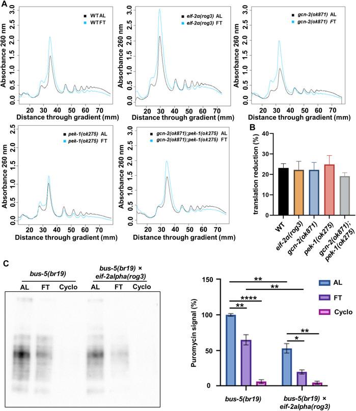 https://cdn.ncbi.nlm.nih.gov/pmc/blobs/858d/10755965/1dadd242f72d/fcell-11-1263344-g002.jpg