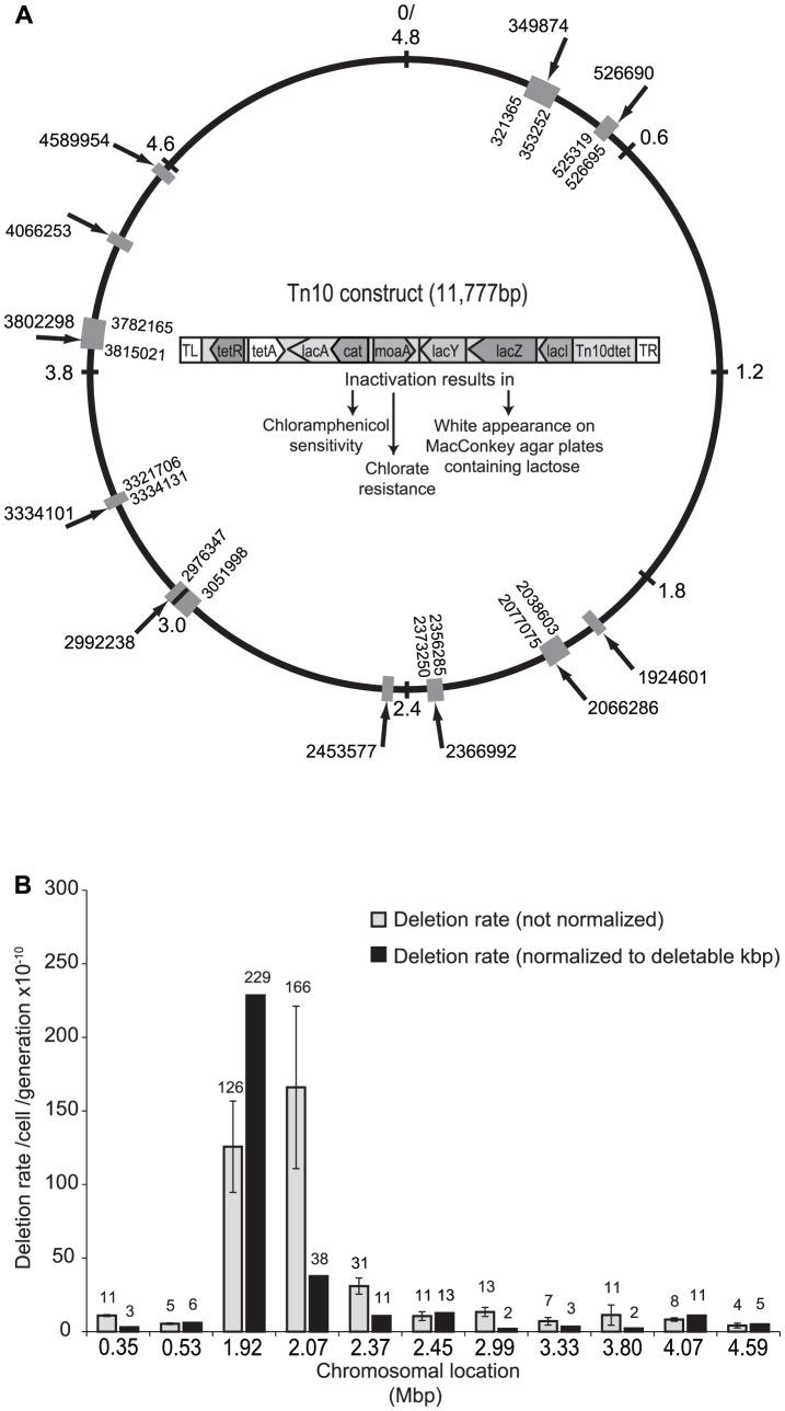 https://cdn.ncbi.nlm.nih.gov/pmc/blobs/858d/3386194/a783a641192d/pgen.1002787.g001.jpg