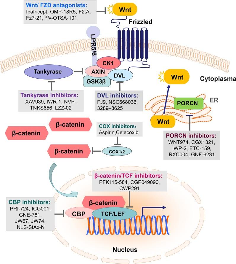 https://cdn.ncbi.nlm.nih.gov/pmc/blobs/858d/7716495/53557ecede4c/13045_2020_990_Fig3_HTML.jpg