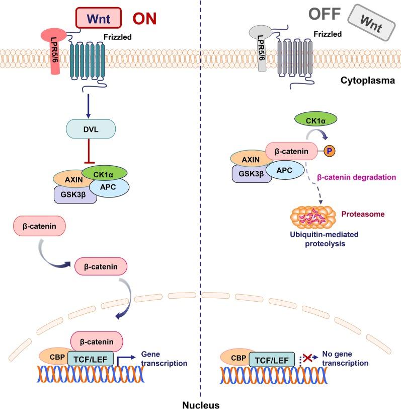 https://cdn.ncbi.nlm.nih.gov/pmc/blobs/858d/7716495/726e027d9f08/13045_2020_990_Fig1_HTML.jpg