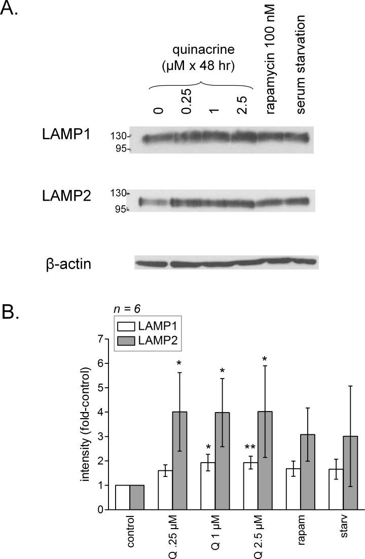 https://cdn.ncbi.nlm.nih.gov/pmc/blobs/858f/4614855/d0259669add8/peerj-03-1314-g007.jpg