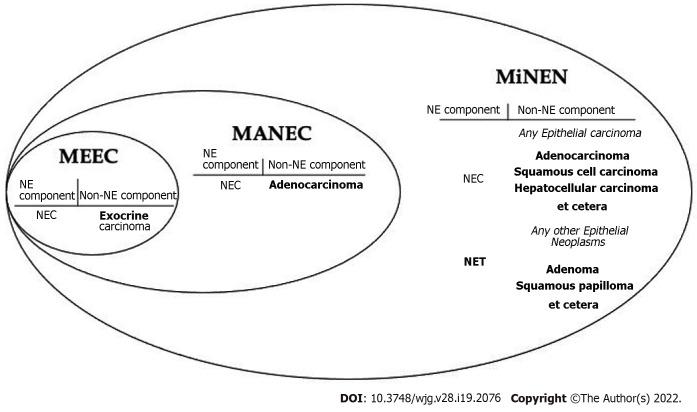 https://cdn.ncbi.nlm.nih.gov/pmc/blobs/8593/9134131/ae18767d8a3b/WJG-28-2076-g003.jpg
