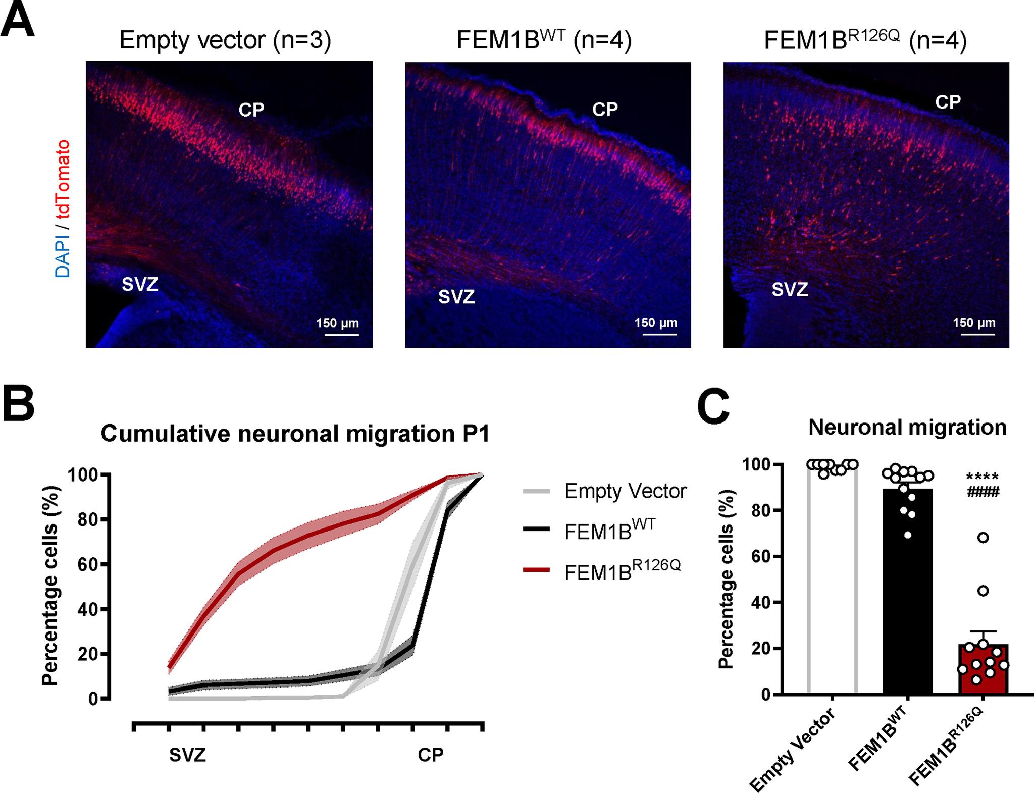 https://cdn.ncbi.nlm.nih.gov/pmc/blobs/8599/11257750/adda547011ae/nihms-2005487-f0002.jpg