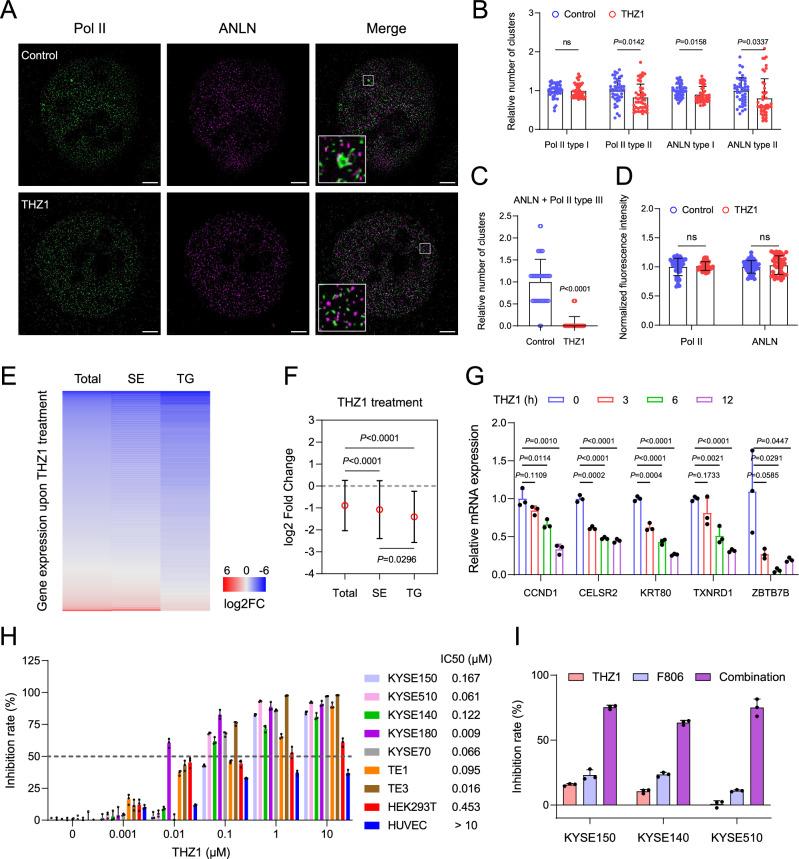 https://cdn.ncbi.nlm.nih.gov/pmc/blobs/859b/11788435/075694a4f490/41467_2025_56645_Fig7_HTML.jpg