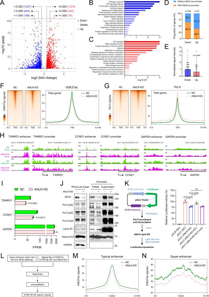 https://cdn.ncbi.nlm.nih.gov/pmc/blobs/859b/11788435/33d06ed942d4/41467_2025_56645_Fig5_HTML.jpg