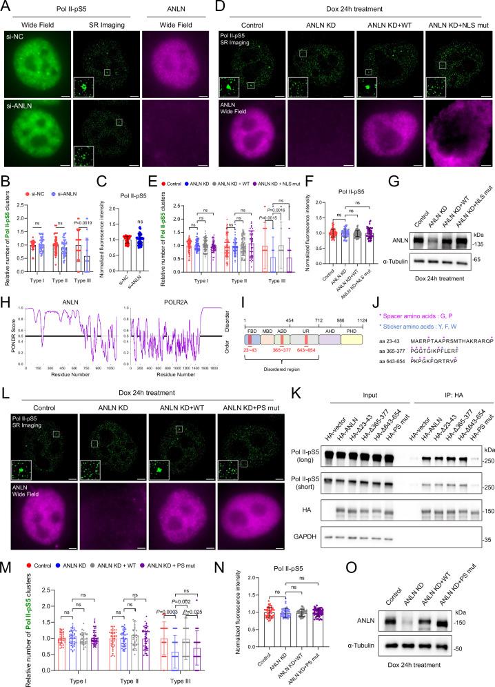 https://cdn.ncbi.nlm.nih.gov/pmc/blobs/859b/11788435/8668ed9eccca/41467_2025_56645_Fig3_HTML.jpg