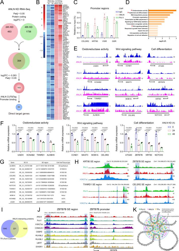 https://cdn.ncbi.nlm.nih.gov/pmc/blobs/859b/11788435/8c7a9c6727e5/41467_2025_56645_Fig6_HTML.jpg