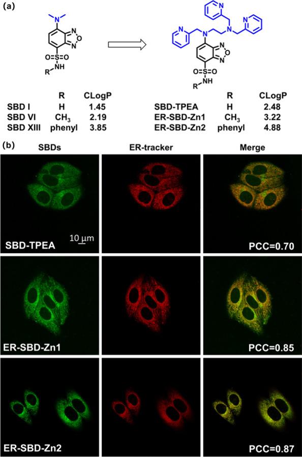 https://cdn.ncbi.nlm.nih.gov/pmc/blobs/859e/12117392/4e04cacf1fb8/im4c00063_0002.jpg