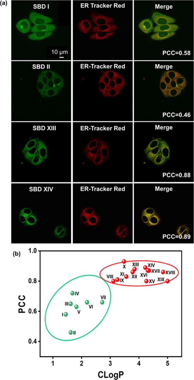 https://cdn.ncbi.nlm.nih.gov/pmc/blobs/859e/12117392/701c6056125b/im4c00063_0001.jpg