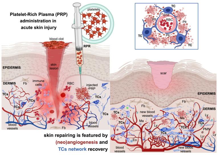 https://cdn.ncbi.nlm.nih.gov/pmc/blobs/85a2/10817627/a7630118ccf6/life-14-00040-g005.jpg