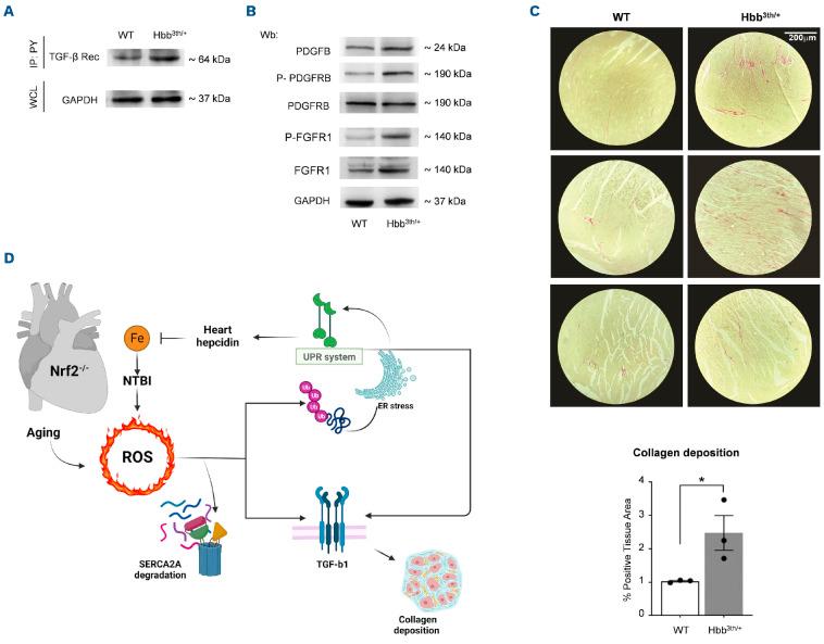 https://cdn.ncbi.nlm.nih.gov/pmc/blobs/85a3/10153524/17211c1d8010/1081335.fig6.jpg