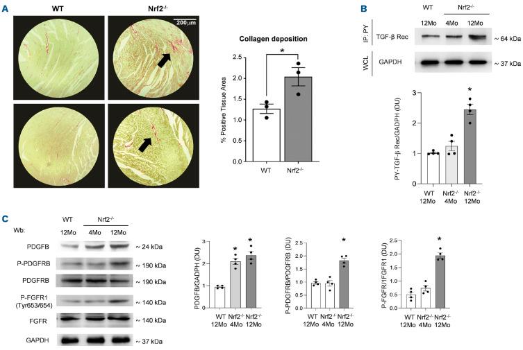https://cdn.ncbi.nlm.nih.gov/pmc/blobs/85a3/10153524/41ad4696cddc/1081335.fig3.jpg