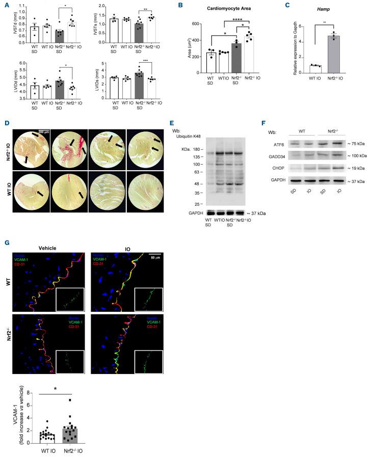 https://cdn.ncbi.nlm.nih.gov/pmc/blobs/85a3/10153524/873d7e8ccbe6/1081335.fig4.jpg
