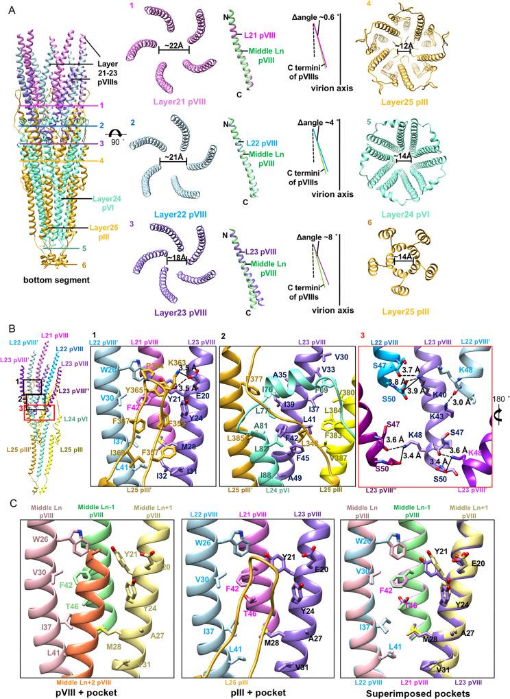 https://cdn.ncbi.nlm.nih.gov/pmc/blobs/85a6/10480500/b29939a7ef96/41467_2023_41151_Fig6_HTML.jpg