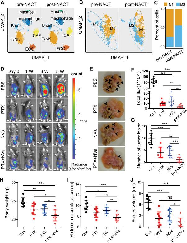 https://cdn.ncbi.nlm.nih.gov/pmc/blobs/85a7/12005807/396b81325d57/ADVS-12-2412881-g007.jpg