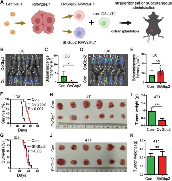 https://cdn.ncbi.nlm.nih.gov/pmc/blobs/85a7/12005807/74c7921a32dc/ADVS-12-2412881-g001.jpg