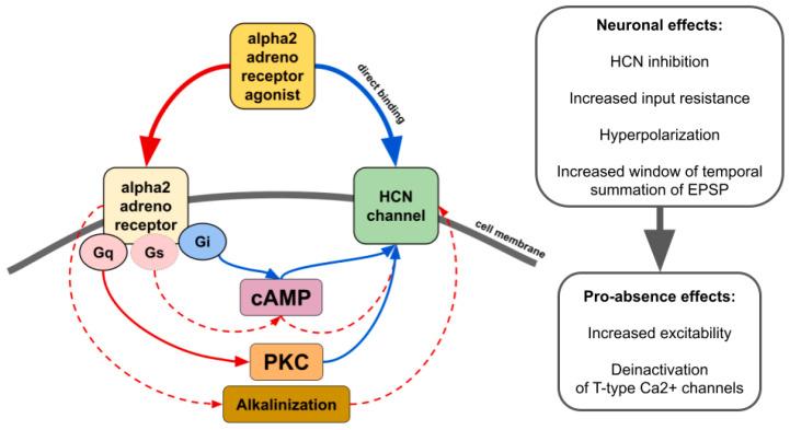 https://cdn.ncbi.nlm.nih.gov/pmc/blobs/85a7/9862736/c20665ae6c86/ijms-24-01477-g004.jpg