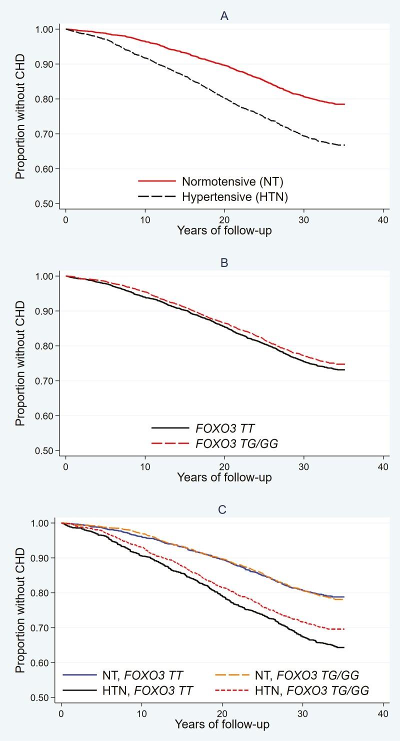 https://cdn.ncbi.nlm.nih.gov/pmc/blobs/85ac/11642614/bdb8f5563803/glae254_fig1.jpg