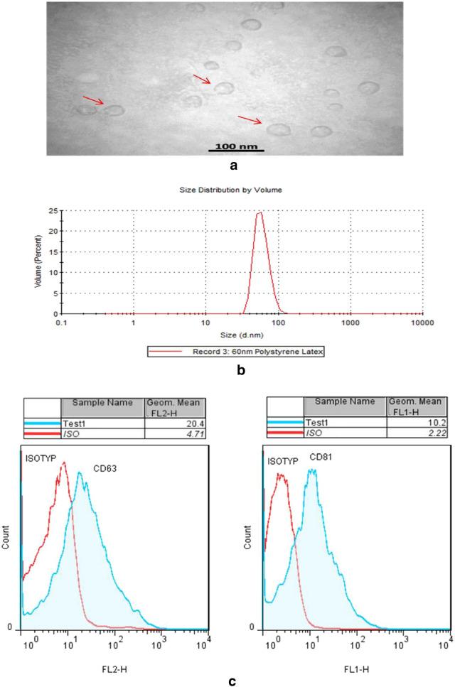 https://cdn.ncbi.nlm.nih.gov/pmc/blobs/85ad/8276852/f4a498ff59e9/13223_2021_556_Fig1_HTML.jpg