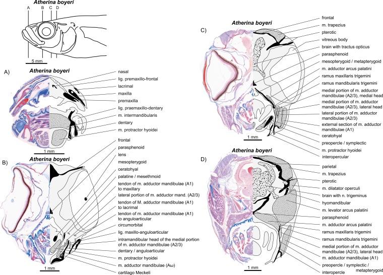 https://cdn.ncbi.nlm.nih.gov/pmc/blobs/85af/4349155/6058cba54487/peerj-03-769-g009.jpg