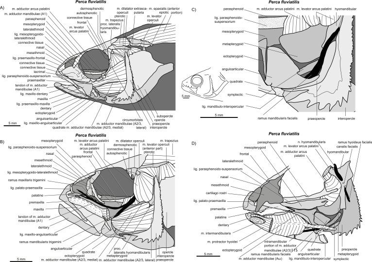 https://cdn.ncbi.nlm.nih.gov/pmc/blobs/85af/4349155/ac3b633822df/peerj-03-769-g005.jpg