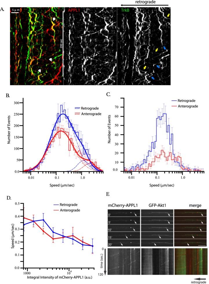 https://cdn.ncbi.nlm.nih.gov/pmc/blobs/85af/6385319/40591215701c/41598_2019_38637_Fig4_HTML.jpg