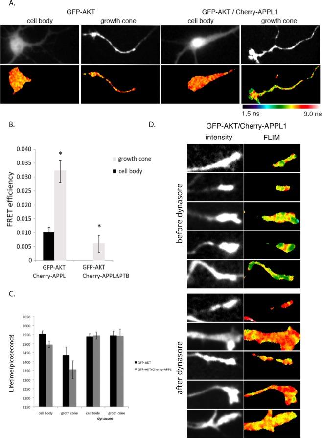 https://cdn.ncbi.nlm.nih.gov/pmc/blobs/85af/6385319/e5a470df0685/41598_2019_38637_Fig5_HTML.jpg