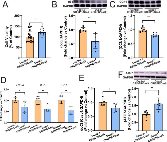 https://cdn.ncbi.nlm.nih.gov/pmc/blobs/85b0/12225126/218696ce7f8b/12933_2025_2772_Fig7_HTML.jpg