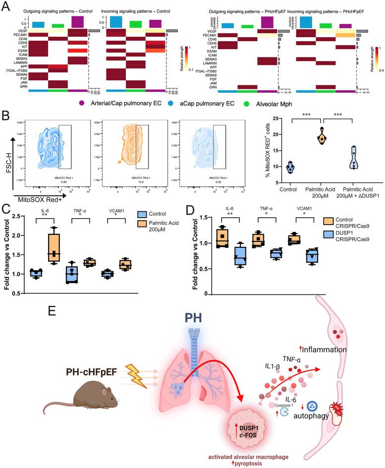 https://cdn.ncbi.nlm.nih.gov/pmc/blobs/85b0/12225126/353e962e04d2/12933_2025_2772_Fig8_HTML.jpg