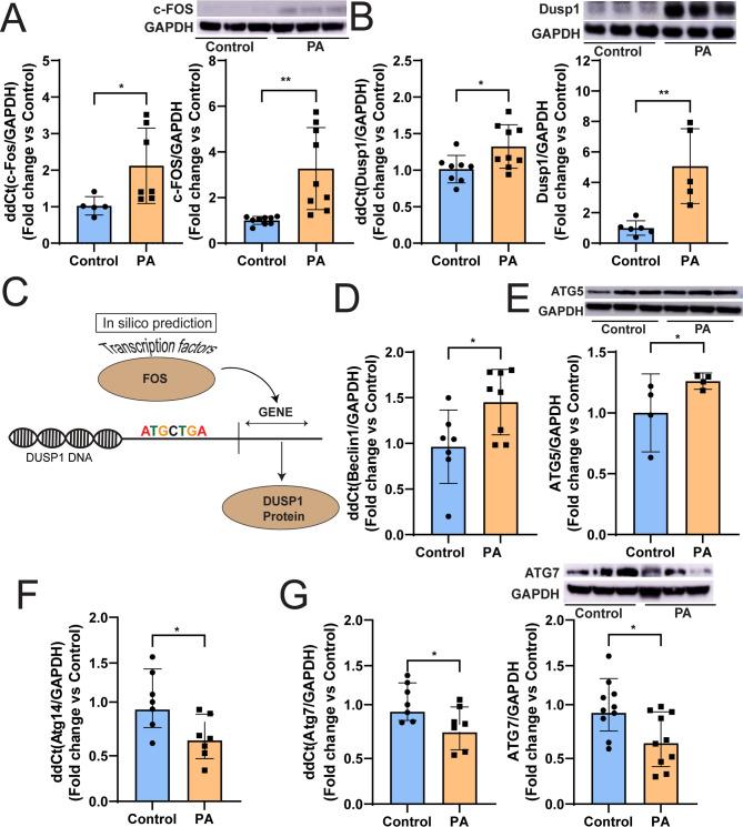 https://cdn.ncbi.nlm.nih.gov/pmc/blobs/85b0/12225126/7e83cf1d27b6/12933_2025_2772_Fig6_HTML.jpg