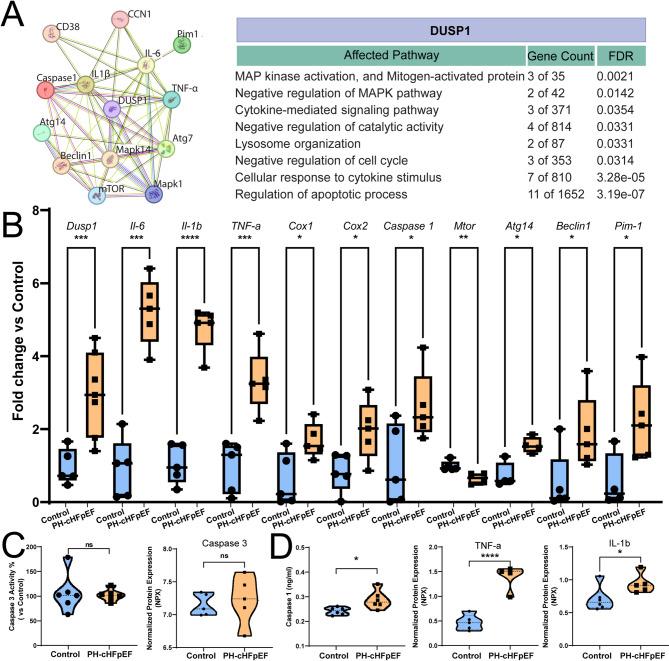 https://cdn.ncbi.nlm.nih.gov/pmc/blobs/85b0/12225126/89a3541d29dc/12933_2025_2772_Fig3_HTML.jpg