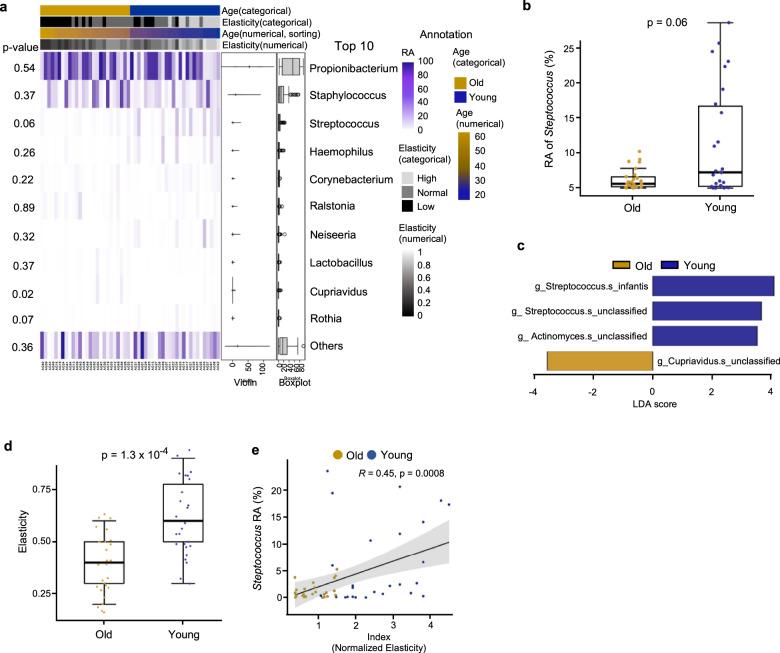 https://cdn.ncbi.nlm.nih.gov/pmc/blobs/85b0/7895926/e47714c8fae0/42003_2020_1619_Fig1_HTML.jpg