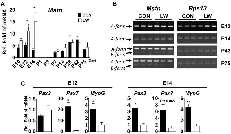 https://cdn.ncbi.nlm.nih.gov/pmc/blobs/85b4/7896188/fd8df31463bd/gr2.jpg