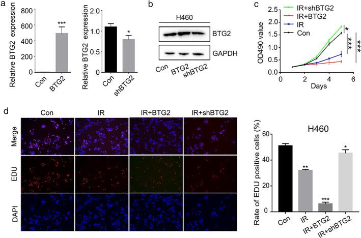 https://cdn.ncbi.nlm.nih.gov/pmc/blobs/85b4/9108063/e2413744e7d8/TCA-13-1441-g003.jpg