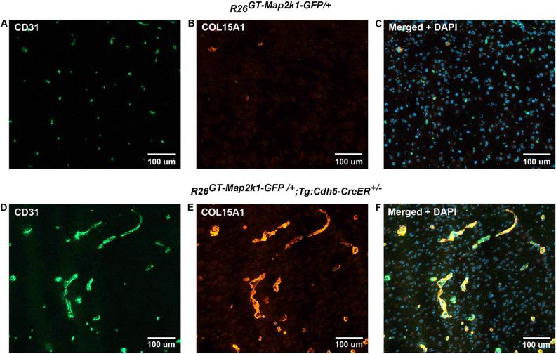 https://cdn.ncbi.nlm.nih.gov/pmc/blobs/85b5/10329712/6acbf27ea190/41598_2023_35301_Fig5_HTML.jpg