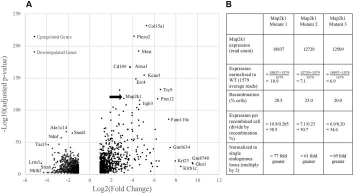 https://cdn.ncbi.nlm.nih.gov/pmc/blobs/85b5/10329712/a3b475e8af4b/41598_2023_35301_Fig3_HTML.jpg