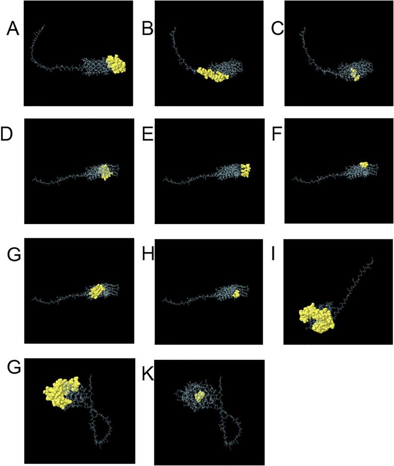 https://cdn.ncbi.nlm.nih.gov/pmc/blobs/85b5/11515988/444c72b1380d/pone.0309560.g002.jpg