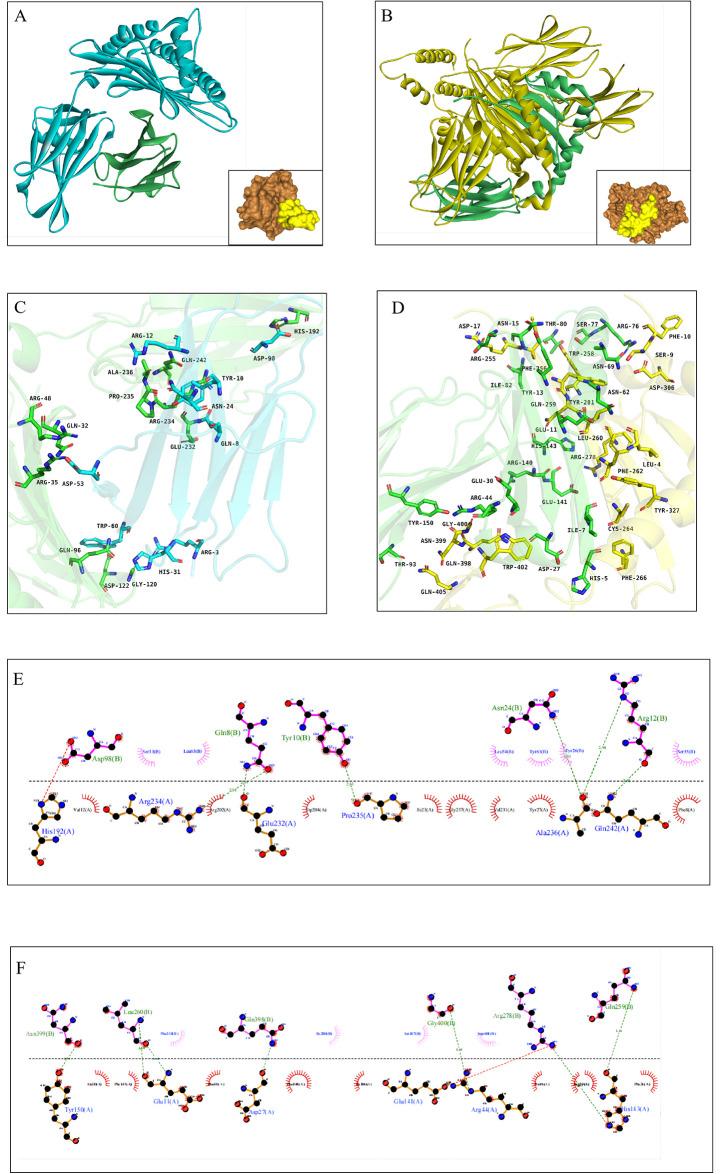 https://cdn.ncbi.nlm.nih.gov/pmc/blobs/85b5/11515988/8f3ba3a5d724/pone.0309560.g004.jpg